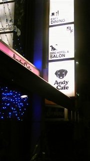 Andy Cafe